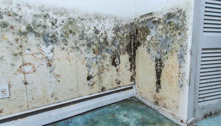 Professional mold removal, odor control, and water damage restoration service in Louisville, Kentucky.