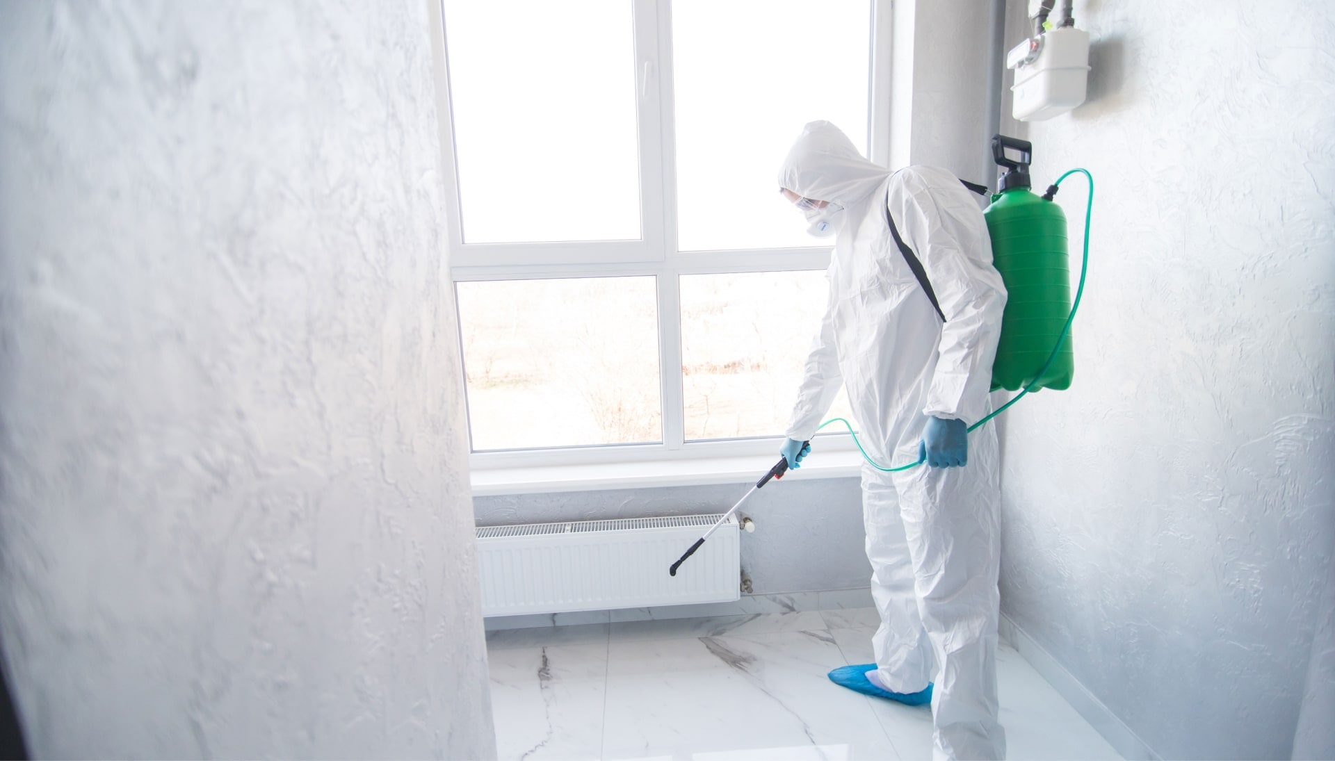 We provide the highest-quality mold inspection, testing, and removal services in the Louisville, Kentucky area.